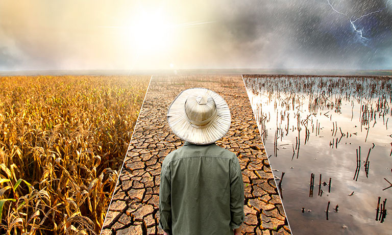 Per l’agricoltura il climate change è una delle sfide più complesse 